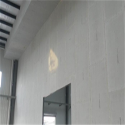 巢湖新型建筑材料掺多种工业废渣的ALC|ACC|FPS模块板材轻质隔墙板